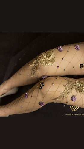 RARE Embroidered Net Hosiery