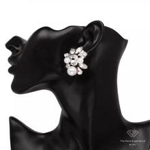 Load image into Gallery viewer, RARE “Simone” Earrings